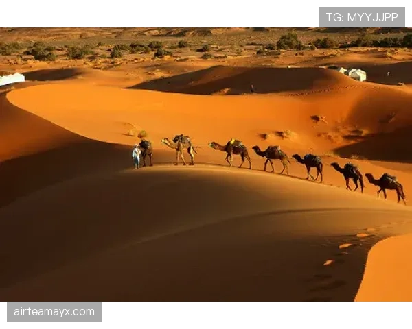 阿尔及利亚“沙漠之狐”强势崛起,展现惊人竞争力引关注 阿尔及利亚“沙漠之狐”强势崛起,展现惊人竞争力引关注